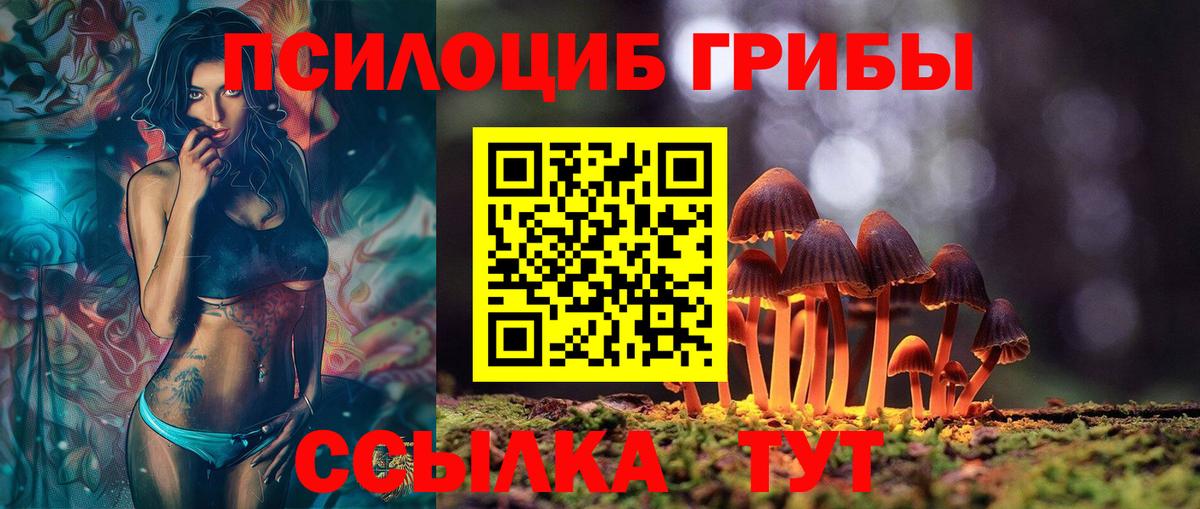 Псилоцибиновые грибы Psilocybe  Вход с VPN  Усинск  Псилоцибиновые грибы Psilocybe 